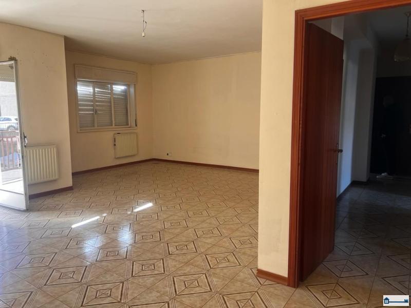 PHOTO-2023-12-15-18-31-42 (4).jpg